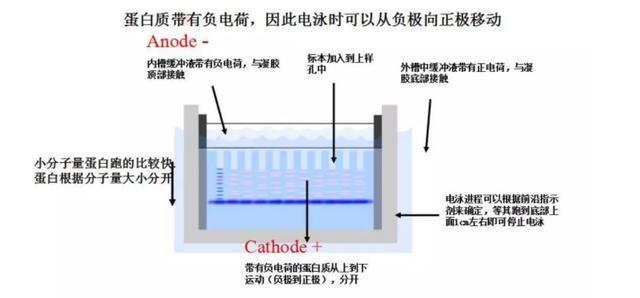 场景化情感连接：让品牌触动内心的力量